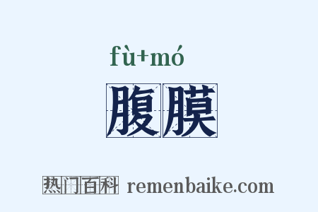 腹膜是什么意思的图片